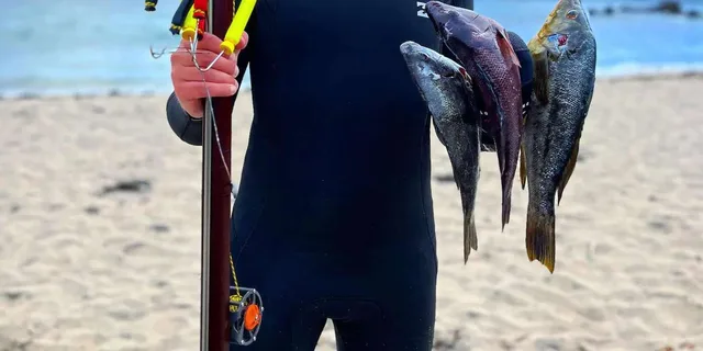 Corona Del Mar Spearfishing Adventure - Image 2