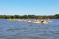 New Smyrna Beach Wildlife Eco Kayak Tour thumbnail 5