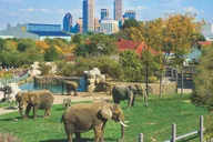 Indianapolis Attraction Pass 3-Day thumbnail 3