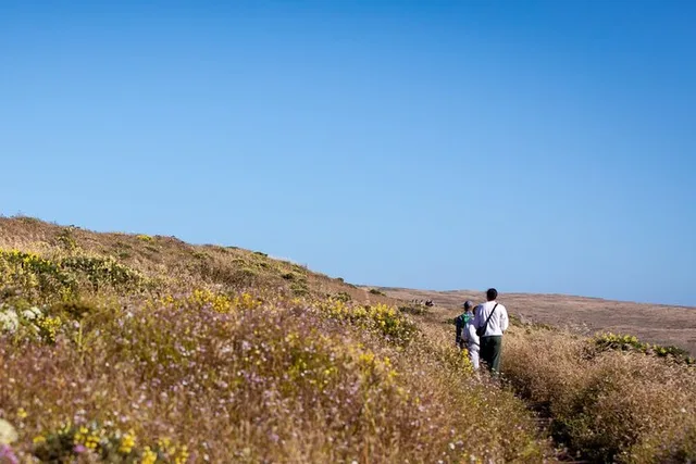 Point Reyes Audio Driving Tour - Image 4