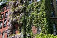 New York East Village Food Tour thumbnail 4