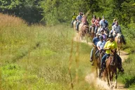 Gettysburg Battlefield Horseback Tour thumbnail 2