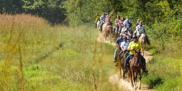 Gettysburg Battlefield Horseback Tour - Image 2