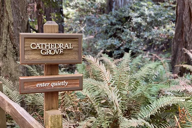 San Francisco Muir Woods Private Tesla Tour - Image 3