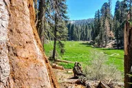 Fresno Sequoia Winter Tour thumbnail 6