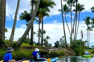 Hilo Wailoa River Kayak Tour to King Kamehameha Statue thumbnail 1