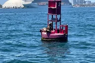Long Beach Glass Bottom Boat Eco-Tour thumbnail 6