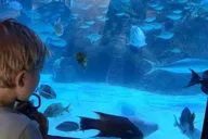 Florida Keys Aquarium Encounters Day Tour 7 hr thumbnail 1
