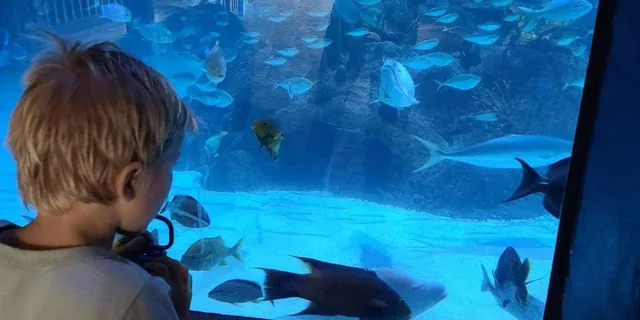 Florida Keys Aquarium Encounters Day Tour 7 hr - Image 1