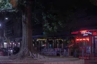 Seattle Ghost Tour: Sinister Sins and Shadows thumbnail 5