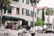 Charleston Private Horse-Drawn Carriage Tour thumbnail 4