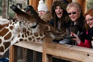 Dallas CityPASS: 4 Attractions thumbnail 4