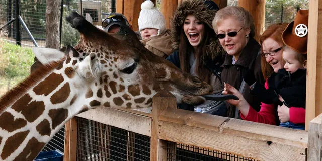 Dallas CityPASS: 4 Attractions - Image 4