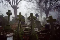 New Orleans Cemetery and Ghost BYOB Bus Tour thumbnail 4