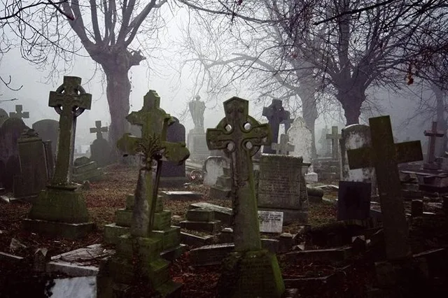 New Orleans Cemetery and Ghost BYOB Bus Tour - Image 4