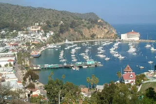 Avalon City Terrace Tour with Mt Ada Views