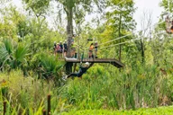 New Orleans Swamp Zipline Tour thumbnail 1