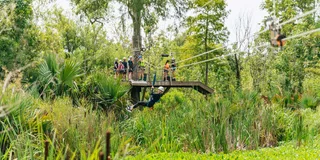 New Orleans Swamp Zipline Tour