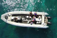 Kauai Whale Watching Expedition thumbnail 3
