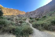 Los Angeles Naturalist's Batcaves Tour 1 hr thumbnail 1