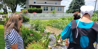 Lancaster Amish Immersion Experience 3 hr