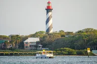 St. Augustine Dolphin and Wildlife Boat Tour thumbnail 5