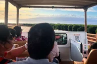 Maui Open-Air Highlights Tour from Kāʻanapali thumbnail 1