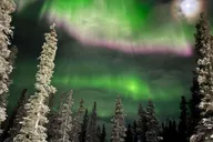Fairbanks Denali National Park SHERP Adventure thumbnail 4