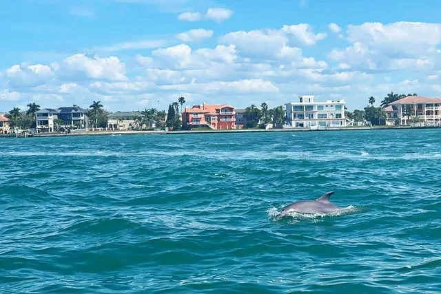 St. Petersburg Dolphin Watching Cruise 2 hr - Image 4
