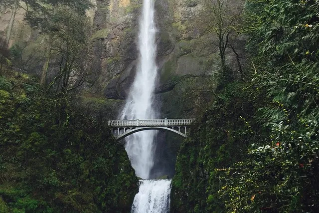 Portland Columbia River Gorge & Waterfalls Tour - Image 4