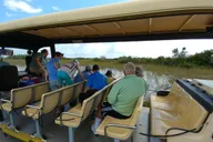 Miami Everglades Airboat and Tram Tour thumbnail 1