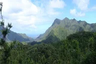 Waikiki Pearl Harbor and Circle Island Tour thumbnail 6