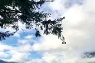 Seattle Olympic National Park Day Tour thumbnail 1