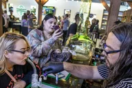 Las Vegas Cannabis Tour with Weed Lounge & Party Bus thumbnail 1