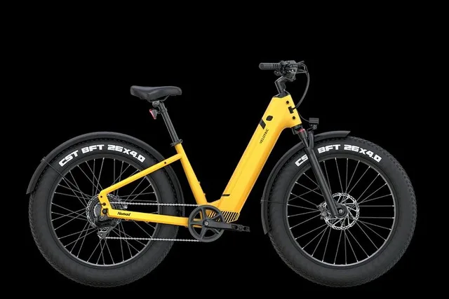 The Villages Electric Bike Rentals - Image 6