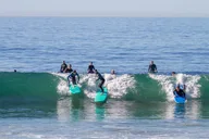 Laguna Beach Kayak Tour with Sea Lion Viewing 90 min thumbnail 4