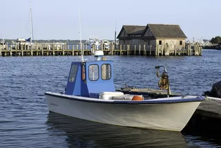 New York City Hamptons Private Day Trip