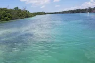 Florida Keys Boat Excursion with Snorkeling thumbnail 6