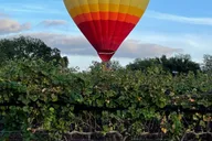 San Antonio Fredericksburg Wine Tour 7 hr thumbnail 3