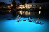 Crystal River Clear Kayak Sunset and Night Glow Tour thumbnail 1
