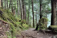 Ketchikan Rainforest Hike Connell Lake 3.5 hr thumbnail 2