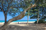 Oahu Jeep Tour of Hidden Gems thumbnail 2