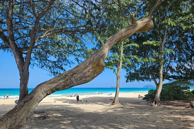 Oahu Jeep Tour of Hidden Gems - Image 2