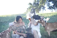 Kauai Farm Animal Experience and MicroDairy Tour thumbnail 6