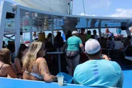 Key West Coral Reef Snorkeling Tour with Open Bar thumbnail 2