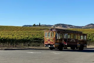 Fredericksburg Wine Tour