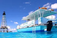 Miami Snorkeling Experience 2 hr thumbnail 4
