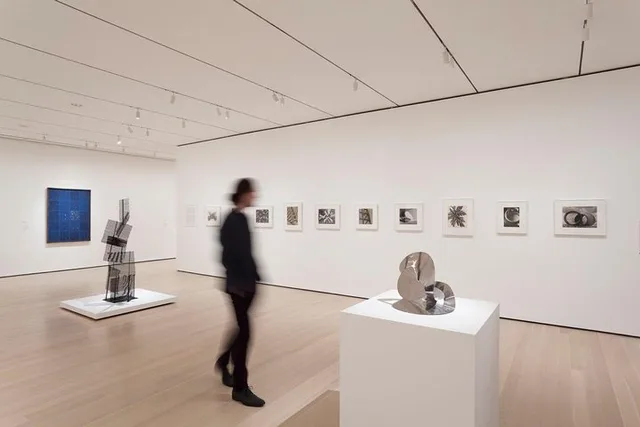 New York Museum of Modern Art & Walking Tour - Image 3