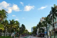 Miami City Private Tour thumbnail 4
