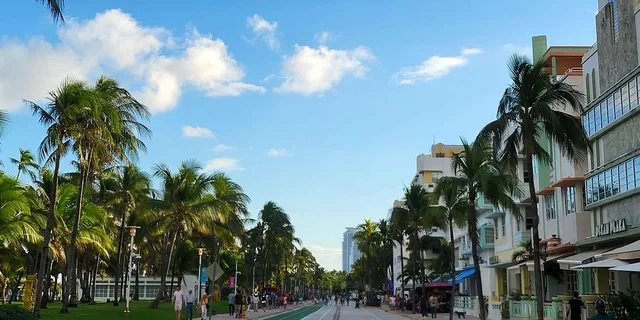 Miami City Private Tour - Image 4